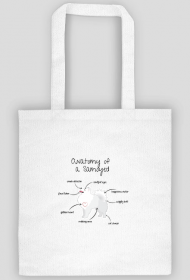 Torba Anatomy of a Samoyed