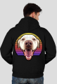 Labrador retro