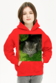 Bluza dziecięca