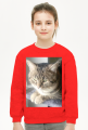 Bluza dziecięca