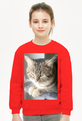 Bluza dziecięca