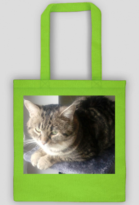 Torba