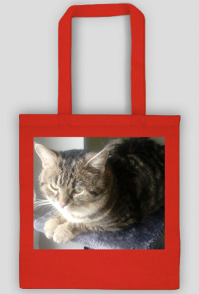 Torba