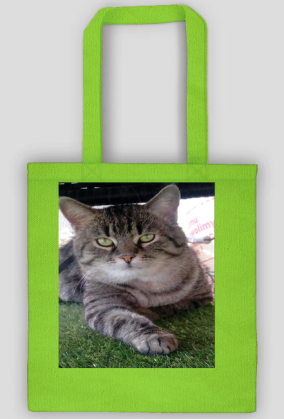 Torba