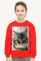 Bluza dziecięca