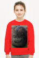 Bluza dziecięca