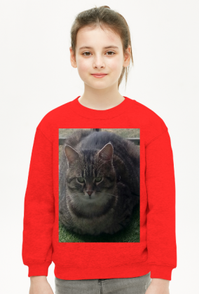 Bluza dziecięca