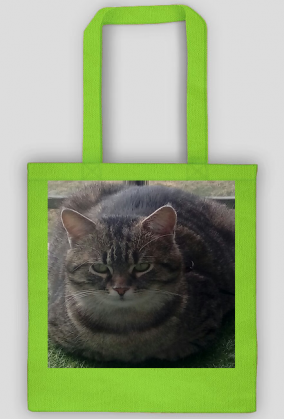 Torba