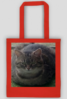 Torba