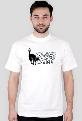 clavesyny