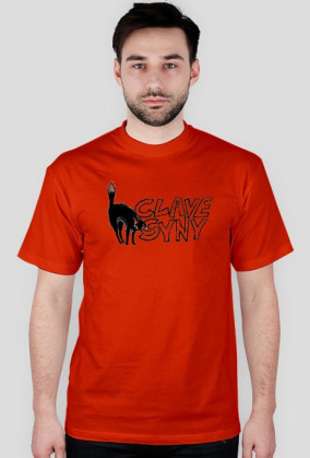 clavesyny