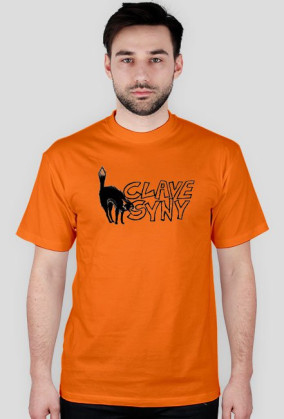clavesyny
