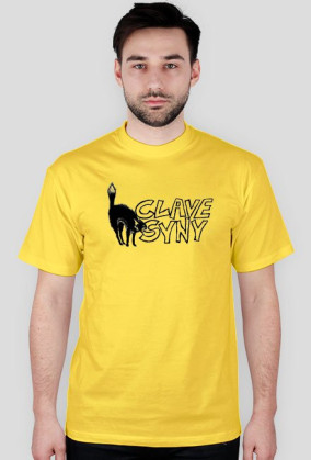 clavesyny