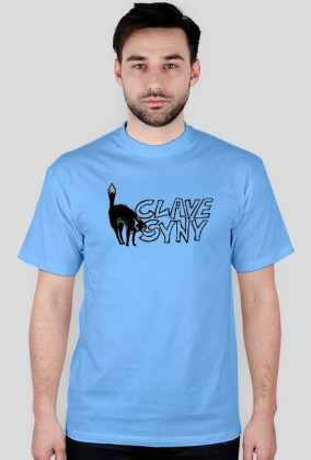 clavesyny