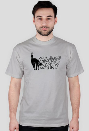 clavesyny