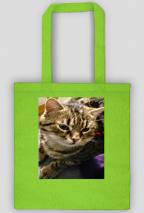 Torba