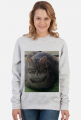 Bluza damska