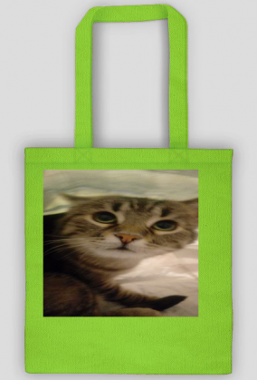 Torba