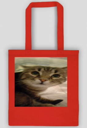 Torba