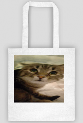 Torba