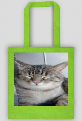 Torba