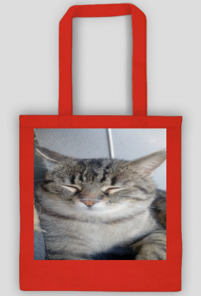 Torba