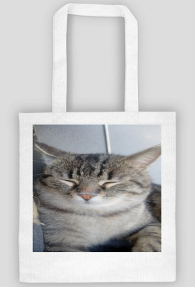 Torba