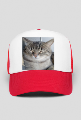 Czapka