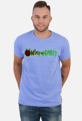 NIepoprawny Plain 01