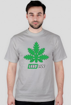 Legolize~