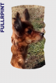 Komin wielofunkcyjny - Rosyjski Toy Terrier na plaży