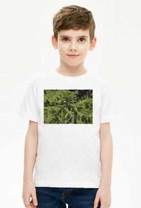 t-shirt dziecięcy