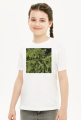 t-shirt dziecięcy