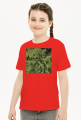 t-shirt dziecięcy