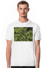 t-shirt męski