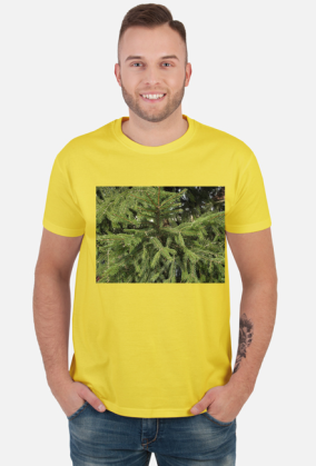 t-shirt męski