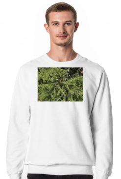 bluza męska