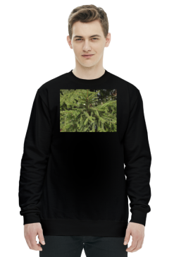 bluza męska
