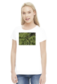 koszulka damska