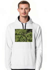 bluza męska z kapturem