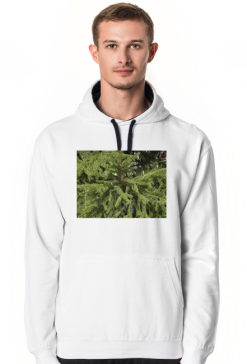 bluza męska z kapturem