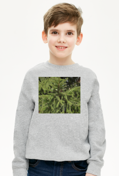 bluza dziecięca