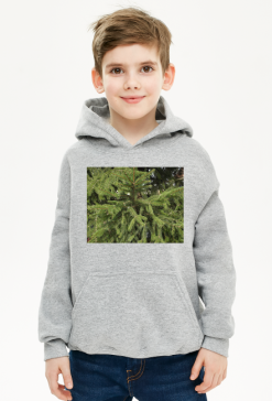 bluza dziecięca z kapturem
