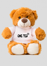 Pluszowy miś "ONE TED"