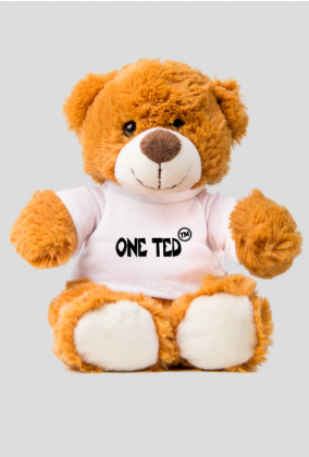 Pluszowy miś "ONE TED"