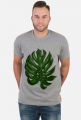 Koszulka Męska Liść Monstera
