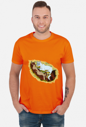 Tigerstar and sasha the warriors tygrysia gwiazda i sasza wojownicy