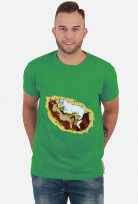 Tigerstar and sasha the warriors tygrysia gwiazda i sasza wojownicy