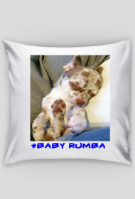 #BABY RUMBA
