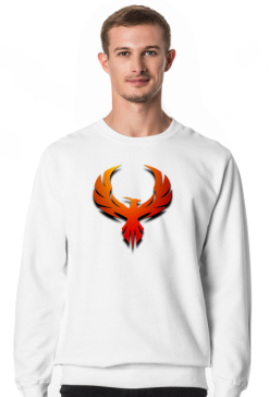 LOGO + NAZWA BLUZA